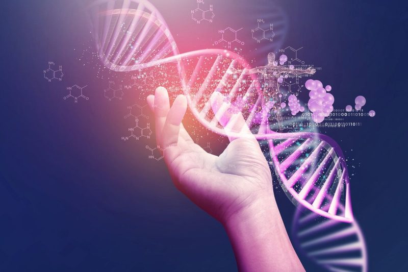 <strong>Genetics is the study of genes, their variations and hereditary characteristics, as well as how these traits are passed on through generations. So what is genetics investing?</strong>
When it comes to genetics investing, companies in this niche of the life science sector are mostly focused on four submarkets: DNA sequencing, genetic testing, gene therapy and genomics, which includes gene editing.
This life sciences submarket has gained much attention from investors over the past several years. It has provided a launching pad for a number of biotech firms developing and commercializing novel treatments and drugs addressing a wide range of diseases with unmet needs.
For those looking to dive into the genetics sector, there are numerous investment opportunities to consider. Investing in gene stocks is the most common route, but there are risks due to the market’s volatility, especially when it comes to wins or losses with the US Food and Drug Administration (FDA).
Exchange-traded funds (ETFs) are another popular option for gaining exposure to the industry, and come with less risk than investing in a single stock.
                            In this article                                
                            What are the key areas of the genetics sector?                                
Before diving into investment opportunities in the genetics market, it’s important to understand the industry and the key areas of genetics mentioned above.
                            What investors should know about the genetics market                                
In the biotech sector, gene therapy is one of the more advanced treatment options, and gene therapy pipeline candidates are robust in late-stage clinical trials.
In terms of what will — and already has — disrupted the genetics industry, CRISPR gene-editing technology has been on the rise for quite some time. It uses short repeating DNA sequences with “spacers” dividing them to treat genetic diseases.
While the use of the technology is still in its early stages, in the coming years it’s expected to have a big impact on how genetic diseases are treated, and there are a range of clinical trials underway involving CRISPR technology. So far, the only FDA approved CRISPR-based medicine is Casgevy, developed by Vertex Pharmaceuticals (NASDAQ:VRTX) and CRISPR Therapeutics (NASDAQ:CRSP). It was originally approved in late 2023 for the treatment of sickle cell disease.
The prominence of gene therapies in the life science sector was a major theme at the 2025 JPMorgan Healthcare Conference in January 2025. Peter Marks, then-director of the FDA’s Center for Biological Evaluation and Research, told attendees that his agency is aiming to accelerate approvals for gene therapies. 
In 2024, the FDA expanded approvals for CRISPR-based Casgevy to beta-thalassemia, and it also approved Pfizer’s (NYSE:PFE) Beqvez and PTC Therapeutics’ (NASDAQ:PTC) Kebilidi.
Despite experiencing a challenging year in 2024, there is still a lot of optimism in the gene therapy sector. Also speaking at the January conference, Alliance for Regenerative Medicine president Tim Hunt said he believes 10 new cell and gene therapy treatments could reach blockbuster status by 2030.
“No one’s saying there aren’t headwinds, but we are seeing important signs of growth,” he added.
Looking at DNA sequencing, this market is driven by advances in biotech, the increasing prevalence of cancer and rising demand for precision medicine, as well as higher investment in research and development. DNA sequencing has become a vital component of this growth and has played a key role in remodeling molecular biology and genomics research.
Genetic testing is another segment of the genetics industry that is growing at a fast pace. Unsurprisingly, technological breakthroughs have had a huge impact on genetic testing, and so has the fact that governments and regulatory bodies are turning their attention to this market in order to regulate and raise awareness to treat diseases such as cancer, cystic fibrosis and sickle cell anemia.
Biotech and pharmaceutical companies are also expressing interest in this sector, which is expected to further fuel genetics sector growth in the coming years. Mergers and acquisitions activity is also expected to increase as companies seek to expand their product portfolios new candidates and technologies. 
As can be seen, the genetics industry is vast and complex, but is also ripe with investment opportunities.
                            How to invest in gene stocks                                
Investors looking to invest in the field of genetics through stocks have many options, from large-cap biotech companies to pure-play gene therapy, gene editing and genetic testing stocks. 
See the list below for genetics companies to consider, and check out the linked stock lists for more options.
Large-cap gene stocks
There are a number of large-cap biotech companies that have significant focuses on the field of genomics. Here are a few to consider:
<strong>Amgen (NASDAQ:AMGN) </strong>A global leader in biotech, Amgen uses advanced human genetics to develop and manufacture therapeutics targeting a variety of diseases with unmet medical needs. The company’s subsidiary deCODE Genetics is researching how human genetic diversity influences disease.
<strong>AbbVie (NYSE:ABBV)</strong>Research-based global biopharmaceutical company AbbVie that addresses several key therapeutic areas: immunology, oncology, neuroscience, eye care, virology and gastroenterology. AbbVie is collaborating with ADARx Pharmaceuticals to develop siRNA therapeutics, viewed as a promising genetic medicine approach for silencing disease-causing genes.
<strong>Regeneron Pharmaceuticals (NASDAQ:REGN)</strong> Regeneron Pharmaceuticals creates medicines for a wide variety of diseases. The Regeneron Genetics Center is conducting one of the world’s largest genetics sequencing efforts in collaboration with health organizations around the world.
Gene editing (CRISPR) stocks
There are a variety of options for investors looking to buy in on the field of gene editing stocks, including: 
<strong>CRISPR Therapeutics (NASDAQ:CRSP)</strong>CRISPR Therapeutics and its partner Vertex Pharmaceuticals co-developed drug Casgevy, a CRISPR/Cas9 genome-edited cell therapy. Casgevy is the first ever treatment based on CRISPR technology to be approved for the US market, as well as by the European Medicines Agency and Health Canada.
<strong>Intellia Therapeutics (NASDAQ:NTLA)</strong>Intellia Therapeutics is a gene editing biotech company developing drugs for patients with genetic and autoimmune diseases. The company’s drug pipeline includes late-stage clinical programs for therapies targeting hereditary angioedema and transthyretin amyloidosis.
<strong>Vertex Pharmaceuticals (NASDAQ:VRTX)</strong>Vertex Pharmaceuticals is the other half of the team behind Casgevy. It also offers exposure to other sectors of genomics, with approved treatments for cystic fibrosis and a pipeline of genetic and cell therapies. Its investigational VX-880 islet cell replacement therapy could restore insulin production in patients with type 1 diabetes.
Gene therapy stocks
Gene therapy stocks and stem cell stocks are also popular choices for genetics investing. Here are a few to get you started:
 <strong>Novartis (NYSE:NVS)</strong> Switzerland-based Novartis is focused on treatments for a wide range of diseases, including cancers, malaria, leprosy and sickle cell disease. Novartis is developing adeno-associated-virus (AAV)-based and CRISPR-based gene therapies. Its Kymriah treatment was the first CAR-T cell therapy to be approved by the FDA, and the agency also approved its AAV-based therapy Zolgensma.
<strong>Gilead Sciences (NASDAQ:GILD)</strong> Global biopharmaceutical company Gilead Sciences is advancing breakthrough medicines to prevent and treat serious diseases such as HIV, viral hepatitis and cancer. Its cell-based gene medicine for blood cancer, the CAR T-cell therapy Yescarta, was the second gene therapy approved by FDA.
<strong>uniQure (NASDAQ:QURE)</strong> Genomic medicine company uniQure develops and markets gene therapy products for patients with severe genetic diseases. The company’s AAV-based gene therapy platform targets liver-directed and central nervous system disorders.
Genetic testing stocks
For those interested in genetic testing stocks, these three stocks provide a snapshot on different ways to get exposure to the sector:
<strong>Exact Sciences (NASDAQ:EXAS)</strong>Exact Sciences focuses on molecular diagnostic tests. The company has developed a molecular screening technology platform called Cologuard that detects a range of cancers, including breast cancer and colorectal cancer.
<strong>Fulgent Genetics (NASDAQ:FLGT)</strong>A leader in clinical diagnostic genetic sequencing, Fulgent Genetics is a full-service genomics testing company. Its proprietary technology platform, Picture Genetics, allows for the identification of personal DNA health markers in individual patients.
<strong>Illumina (NASDAQ:ILMN)</strong>Illumina develops, manufactures and markets life science tools and integrated systems that enable the implementation of genomic solutions for the healthcare sector. Its focus is on oncology testing, genetic disease testing, reproductive health and research.
                            How to invest in genomics ETFs                                
For those who would prefer to invest in the genetics industry overall rather than buying shares in an individual gene stock, investing in genomics ETFs is the way to go. Here are some available ETFs that offer exposure to companies in the biotech and genetics sectors to start you off:
<strong>ARK Genomic Revolution ETF (ARCA:ARKG)</strong>This ETF tracks firms focused on CRISPR technology, targeted therapeutics, bioinformatics, molecular diagnostics, stem cells and agricultural biology. Its holdings include CRISPR Therapeutics and Guardant Health (NASDAQ:GH).
<strong>Global X Genomics & Biotechnology ETF (NASDAQ:GNOM)</strong>The Global X Genomics & Biotechnology ETF invests in stocks that are involved in genomic science, which includes gene computational genomics and biotechnology. Its holdings include Illumina and Avidity Biosciences (NASDAQ:RNA).
<strong>iShares Genomics Immunology and Healthcare ETF (ARCA:IDNA)</strong> The iShares Genomics Immunology and Healthcare ETF focuses on companies involved with genomics, immunology and bioengineering. Its holdings include Regeneron Pharmaceuticals and Arcellx  (NASDAQ:ACLX).
<strong>Securities Disclosure: I, Melissa Pistilli, hold no direct investment interest in any company mentioned in this article.</strong>
This post appeared first on investingnews.com